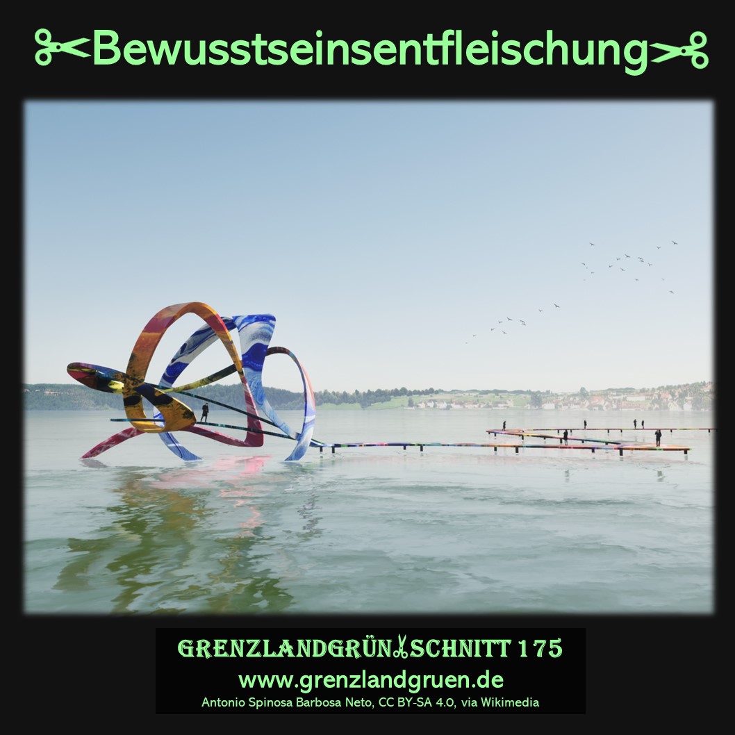 175 Bewusstseinsentfleischung.jpg